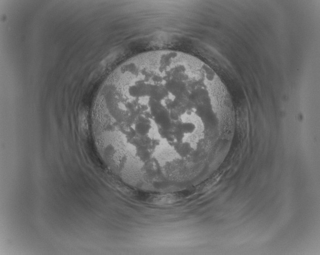 X0000072520127200608041542