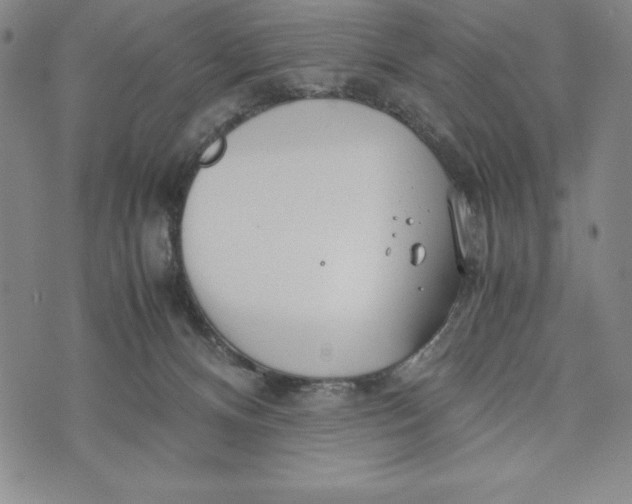 X0000072520128200608041542