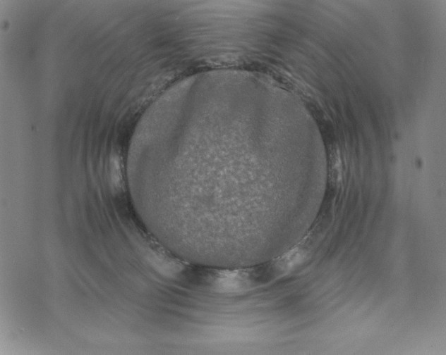 X0000072520130200608041541