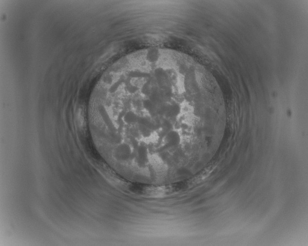 X0000072520131200608041541