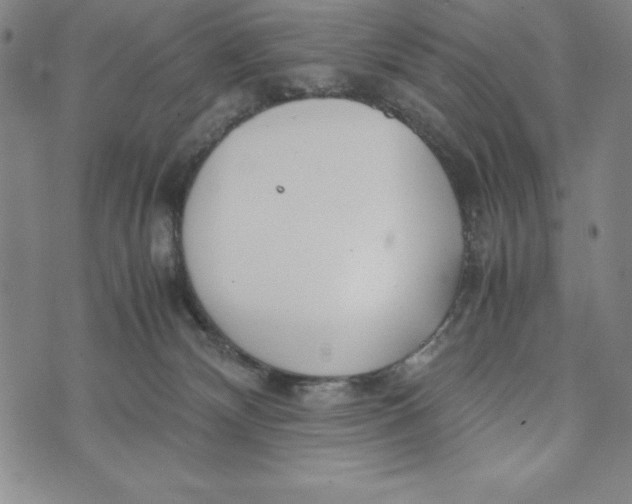 X0000072520132200608041541