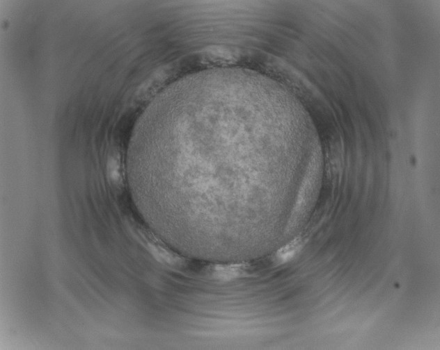 X0000072520134200608041541