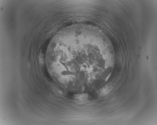 X0000072520135200608041541