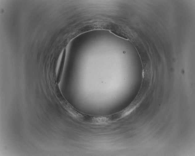 X0000072520137200608041541