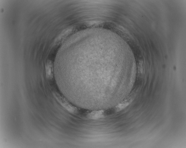 X0000072520138200608041541