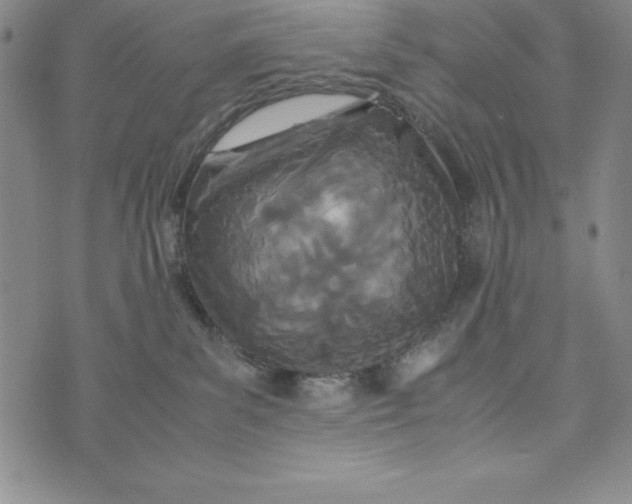 X0000072520139200608041541