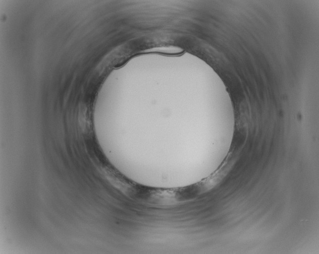 X0000072520140200608041541