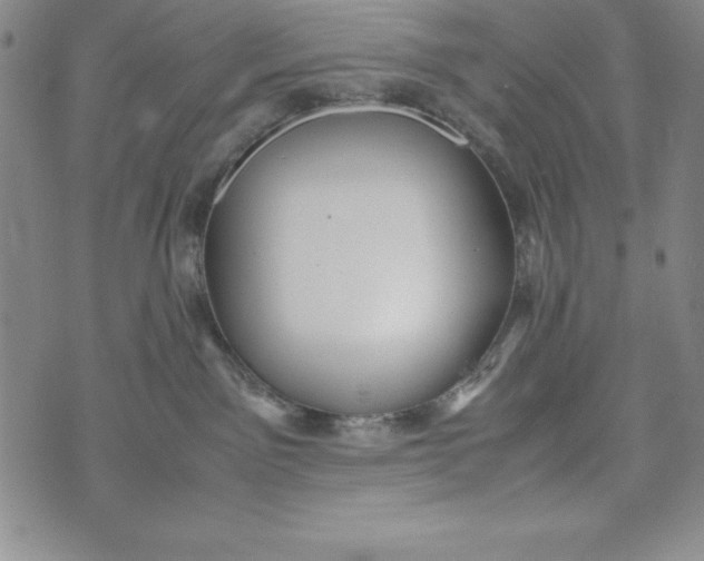 X0000072520141200608041541