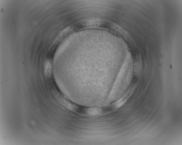 X0000072520142200608041541