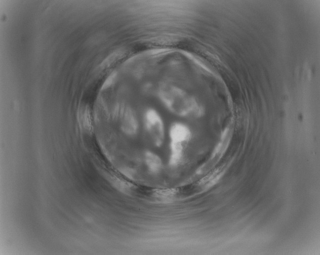 X0000072520143200608041541