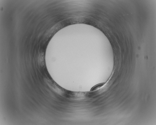 X0000072520144200608041541