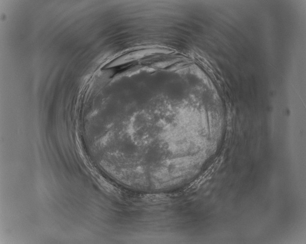 X0000072520145200608041540