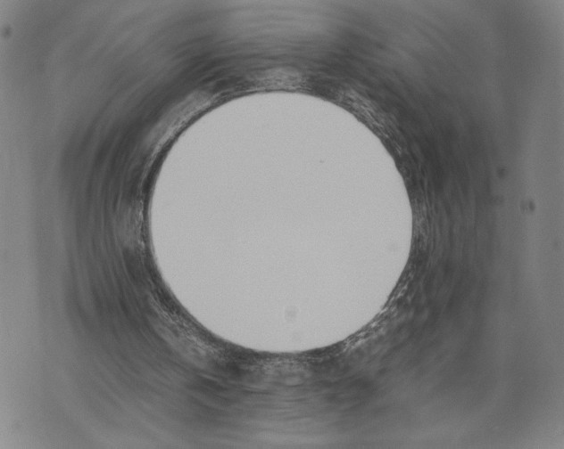 X0000072520146200608041540