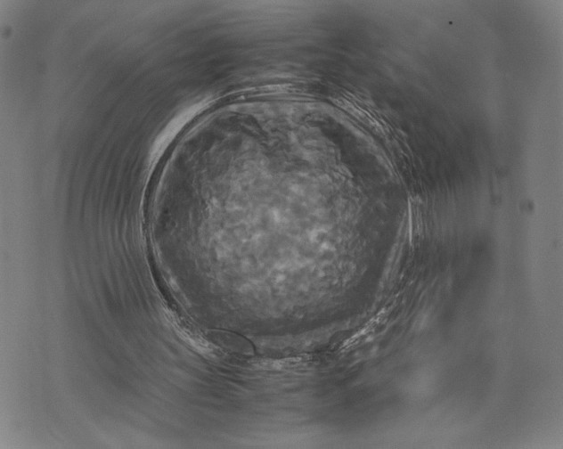 X0000072520147200608041541