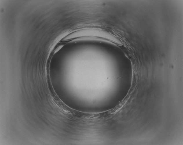 X0000072520148200608041541