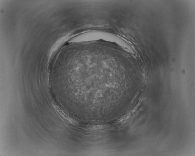 X0000072520149200608041541