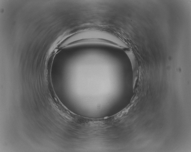 X0000072520150200608041541