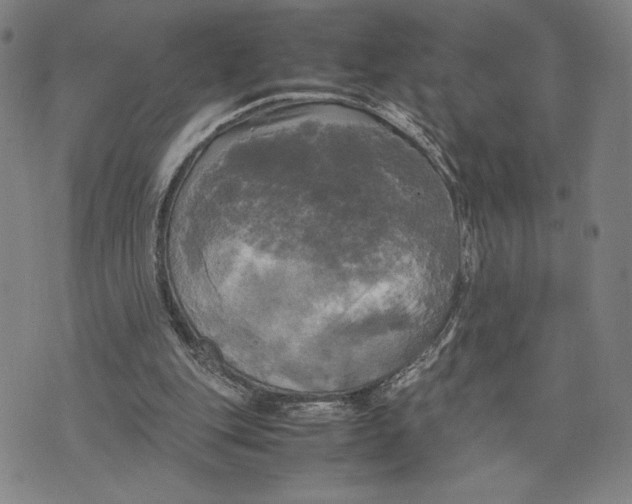 X0000072520151200608041541