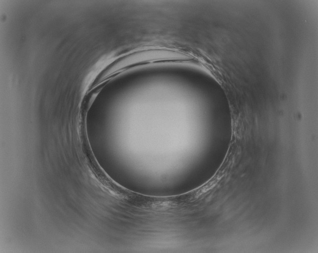 X0000072520152200608041541