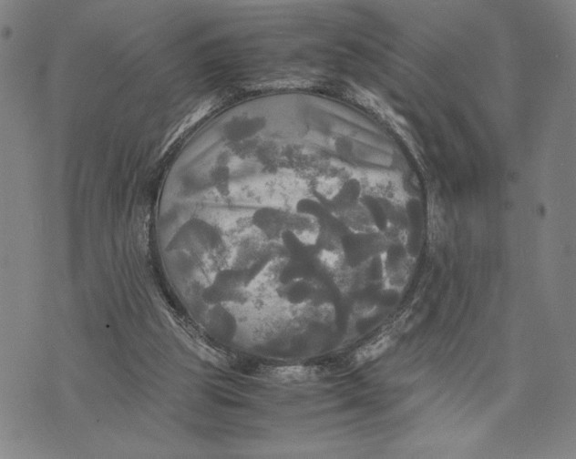 X0000072520153200608041541