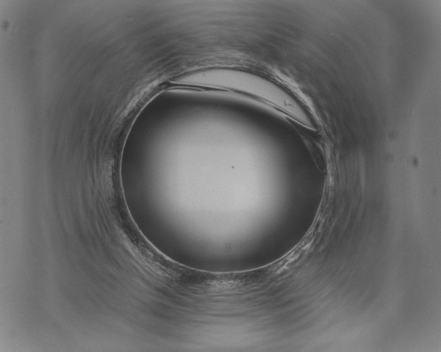 X0000072520154200608041541