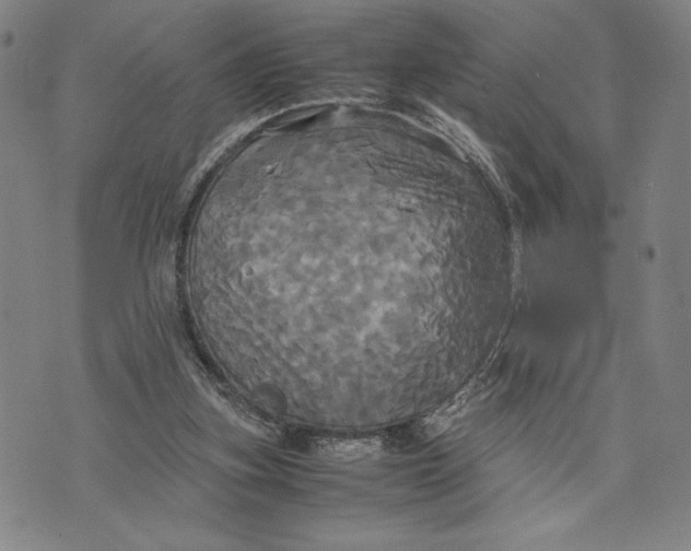 X0000072520155200608041541