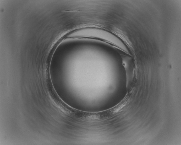 X0000072520156200608041541