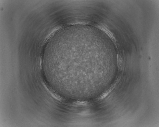 X0000072520157200608041541