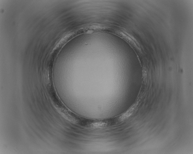 X0000072520158200608041541