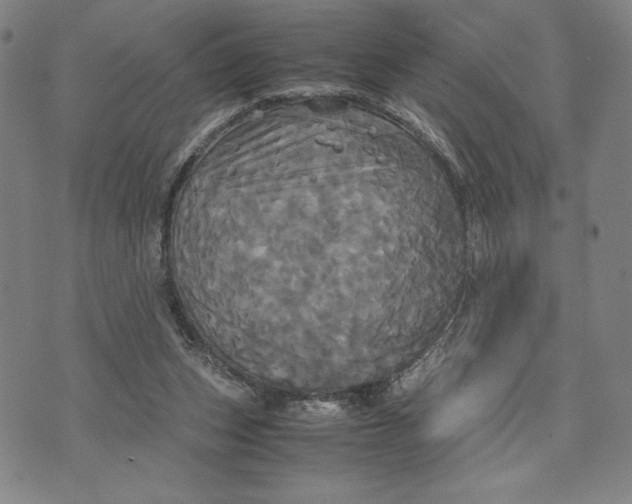 X0000072520159200608041541