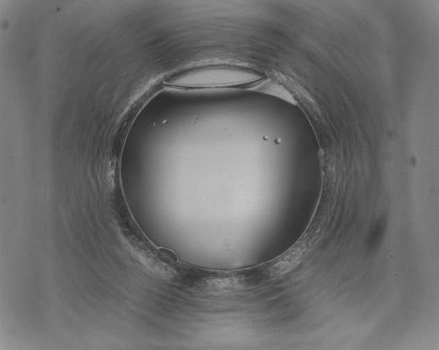 X0000072520160200608041541