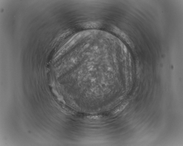 X0000072520161200608041541