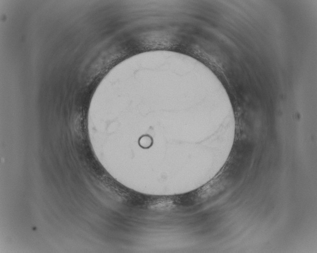 X0000072520162200608041541