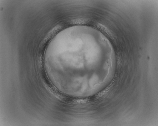 X0000072520163200608041541