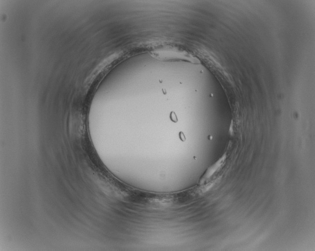 X0000072520164200608041541