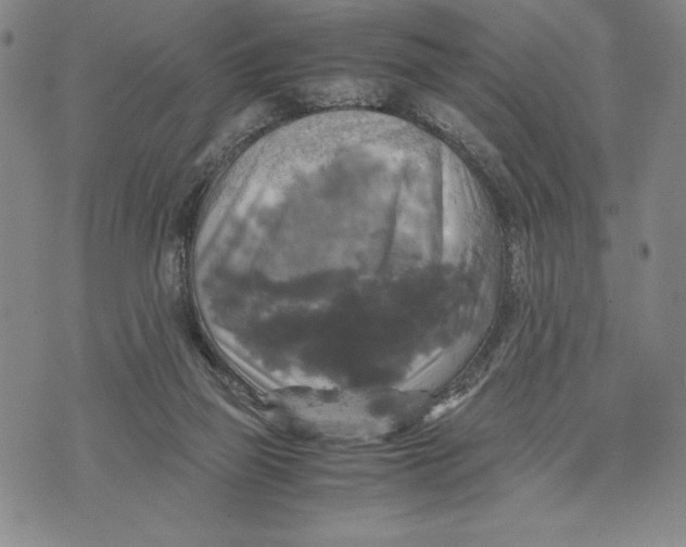 X0000072520165200608041541