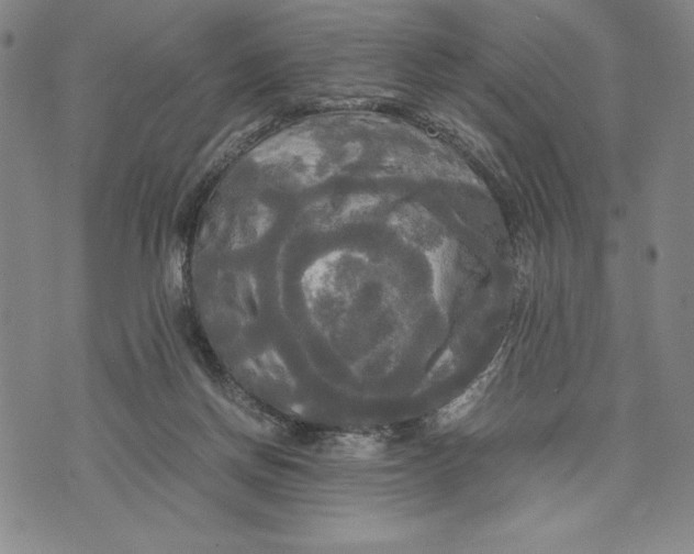 X0000072520166200608041541