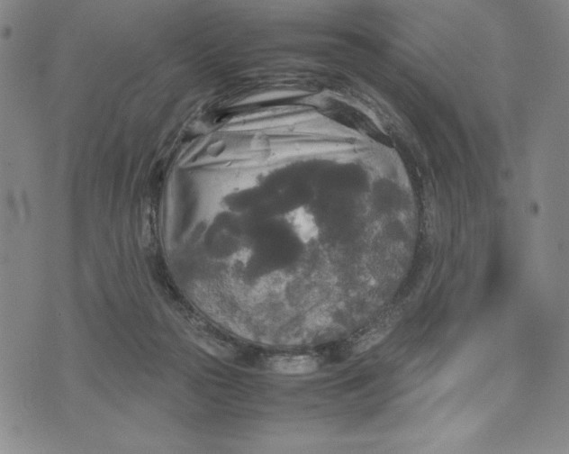 X0000072520169200608041541