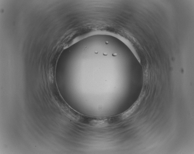 X0000072520170200608041541