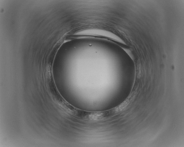 X0000072520172200608041541