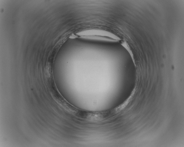 X0000072520174200608041541