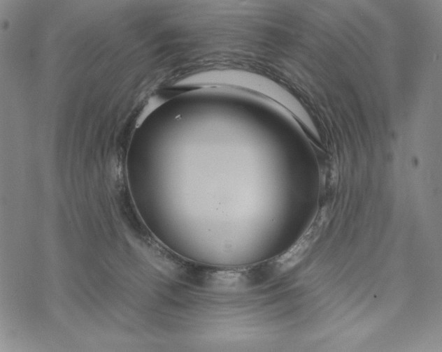 X0000072520176200608041541