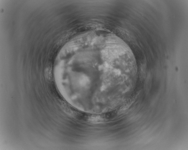 X0000072520177200608041541