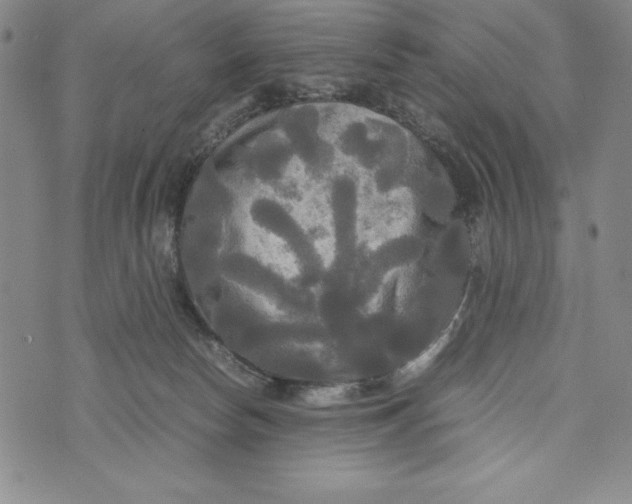 X0000072520178200608041541