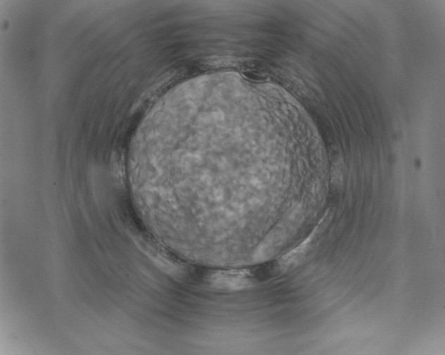 X0000072520179200608041541