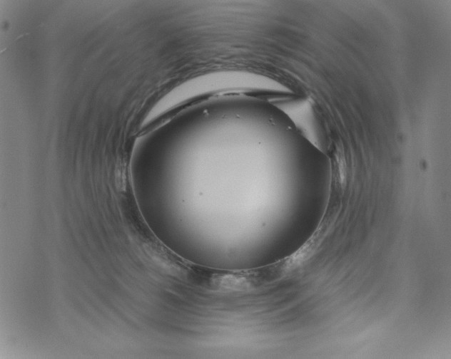 X0000072520180200608041541