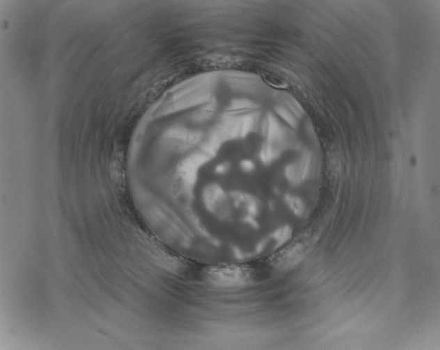 X0000072520181200608041541