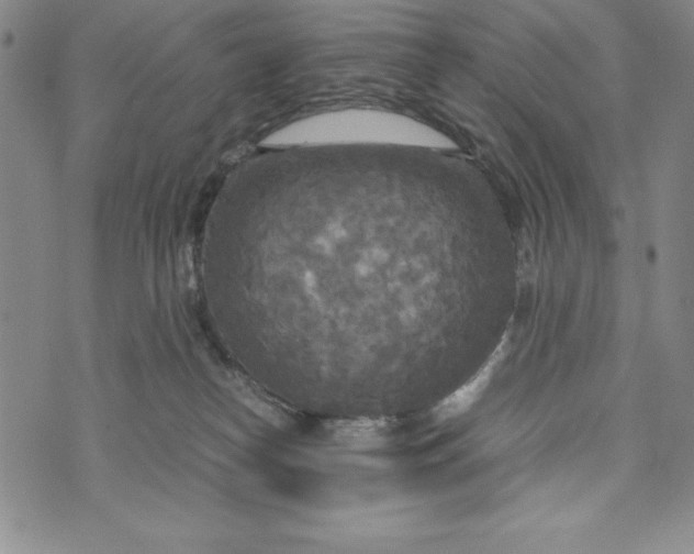 X0000072520182200608041541