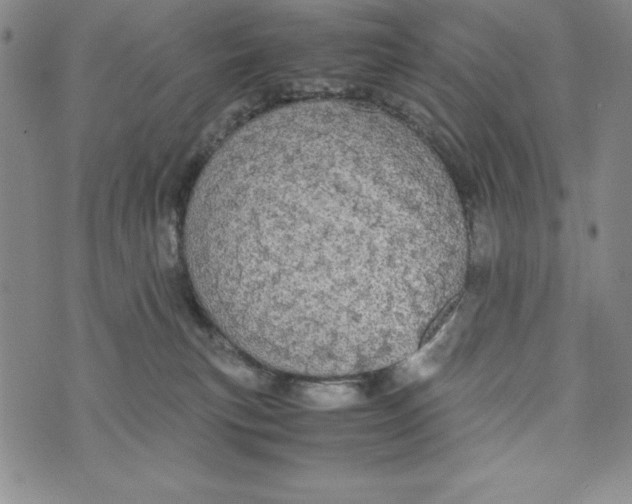 X0000072520183200608041541