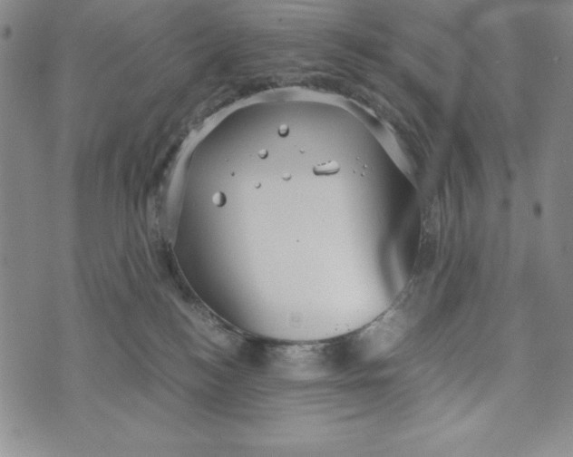 X0000072520184200608041541